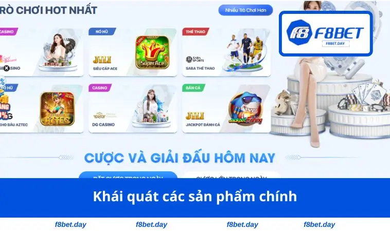 Khái quát các sản phẩm chính