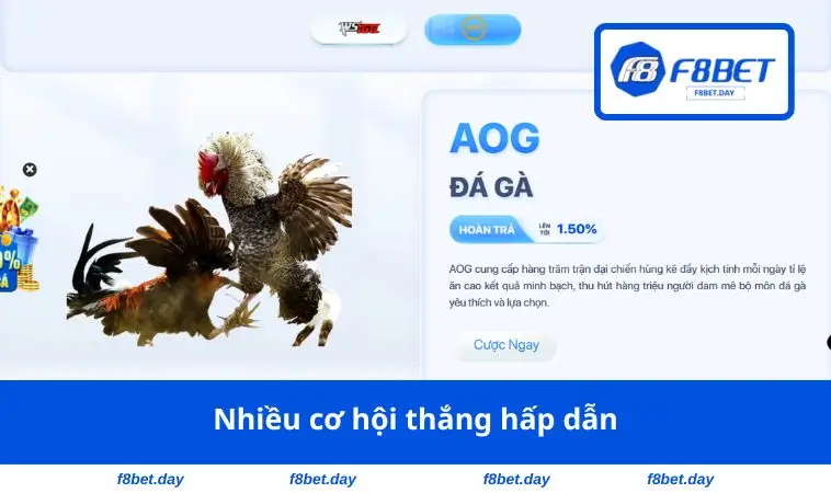Nhiều cơ hội thắng hấp dẫn