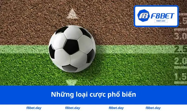 Những loại cược phổ biến